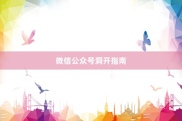 微信公众号洞开指南