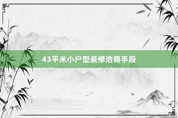 43平米小户型装修洽商手段