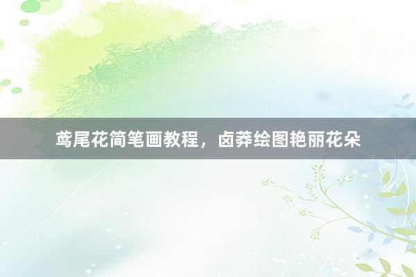 鸢尾花简笔画教程，卤莽绘图艳丽花朵