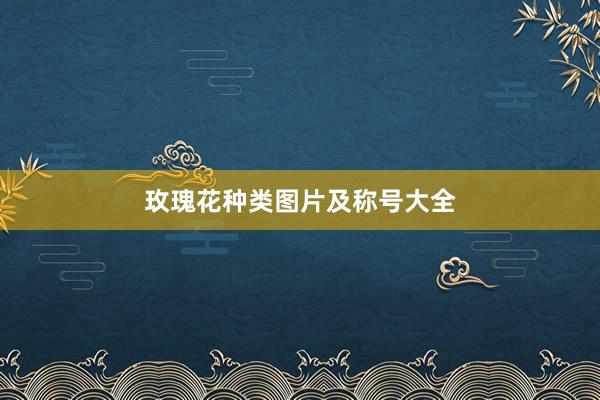 玫瑰花种类图片及称号大全